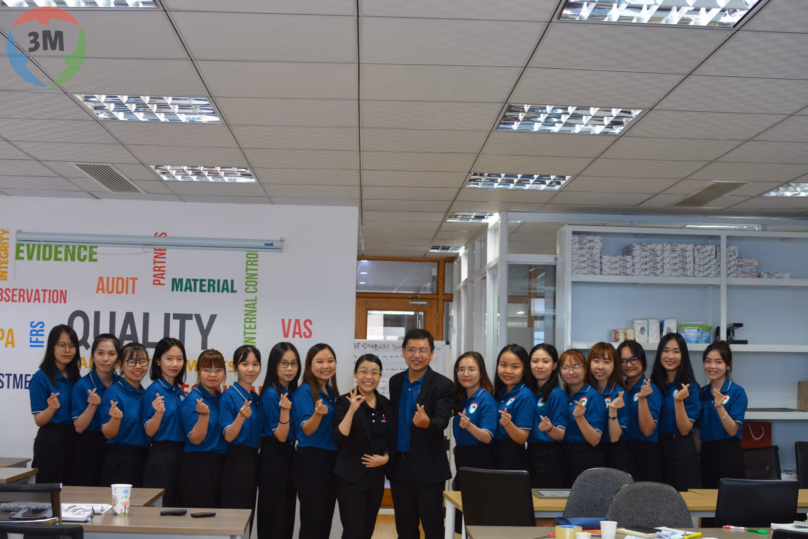 3M team